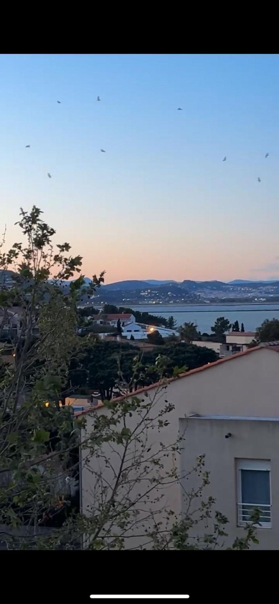 Superbe Duplex Refait A Neuf ! Apartment Hyeres Ngoại thất bức ảnh